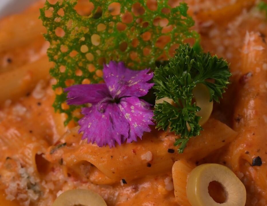 Penne pasta with olives at nouba jaipur